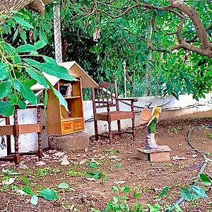 https://nature-paradise-villa-gil-bordon.in-canary-islands.com